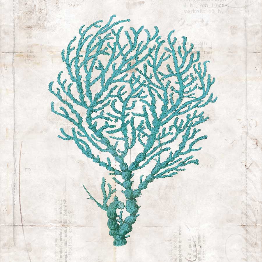 Under the Sea I by artist Sabine Berg 