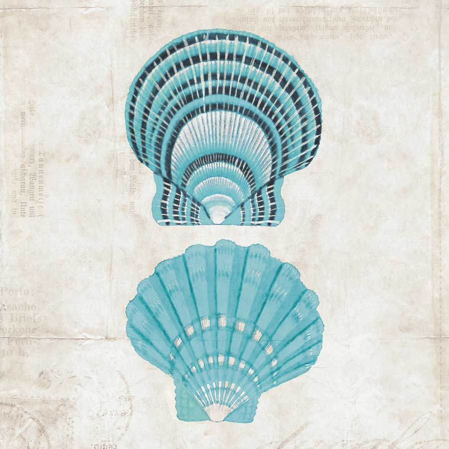 Under the Sea III by artist Sabine Berg 