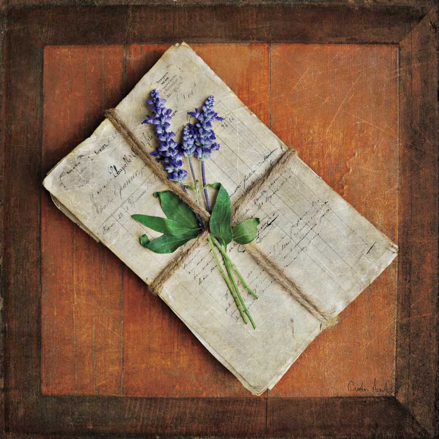 Letters To Home II by artist Cristin Atria