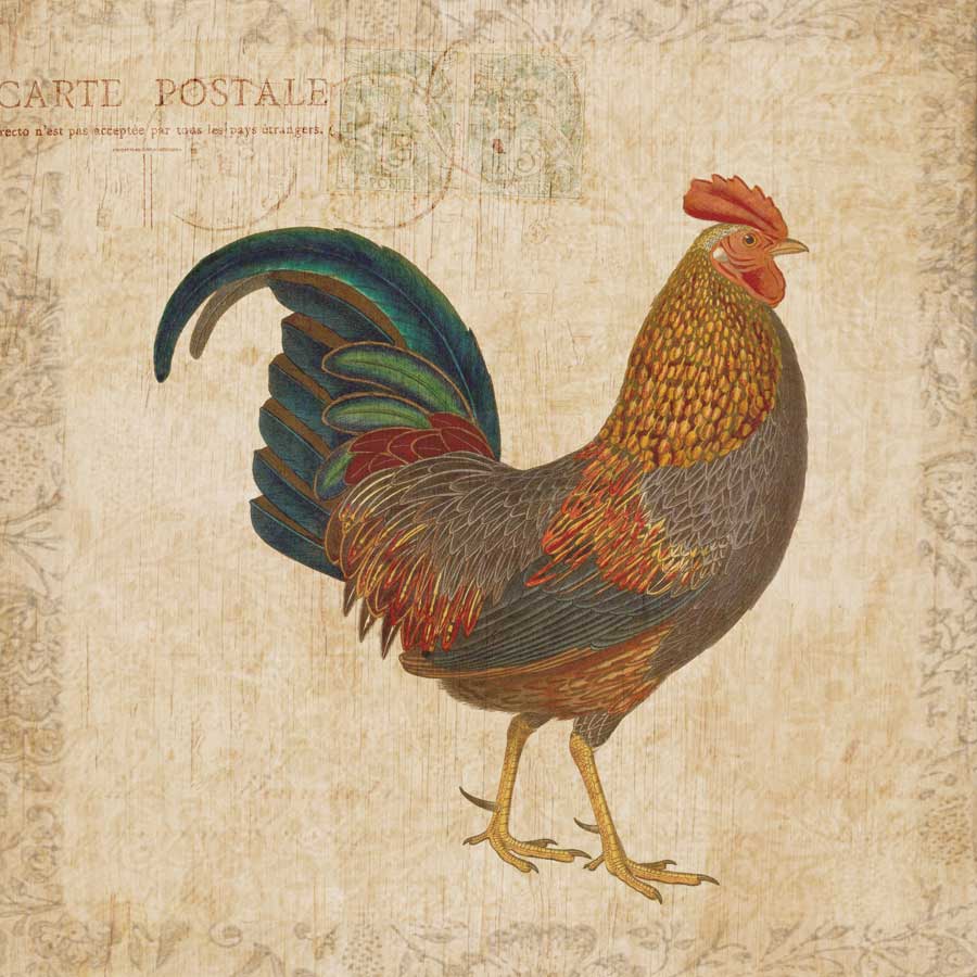 Early Riser I by artist Sabine Berg