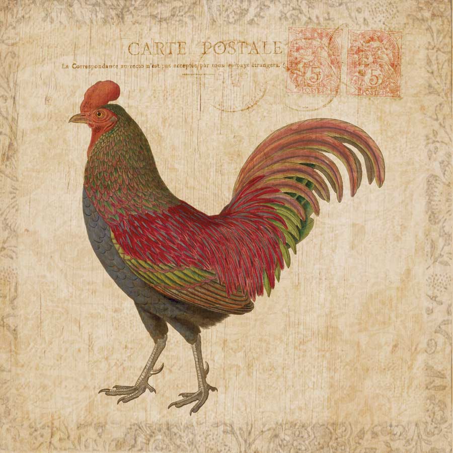 Early Riser II by artist Sabine Berg