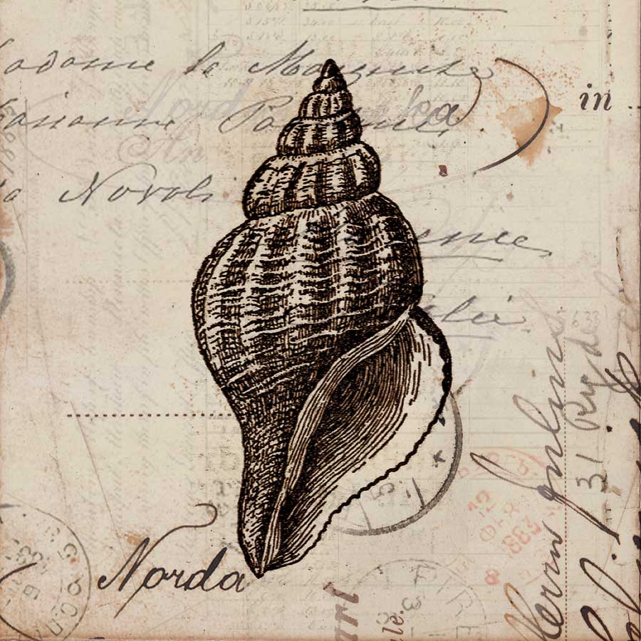 Ocean Collection I by artist Sabine Berg