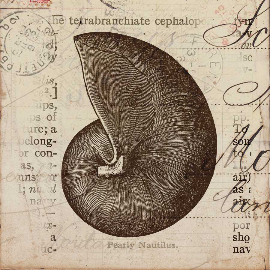 Ocean Collection II by artist Sabine Berg