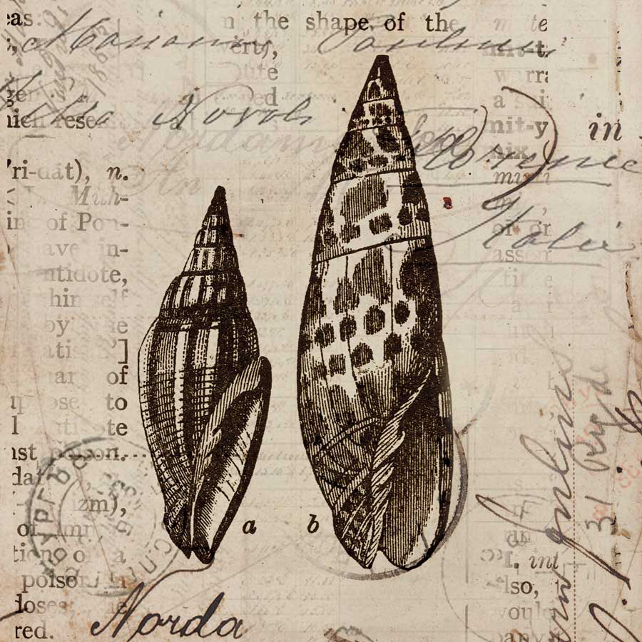 Ocean Collection III by artist Sabine Berg