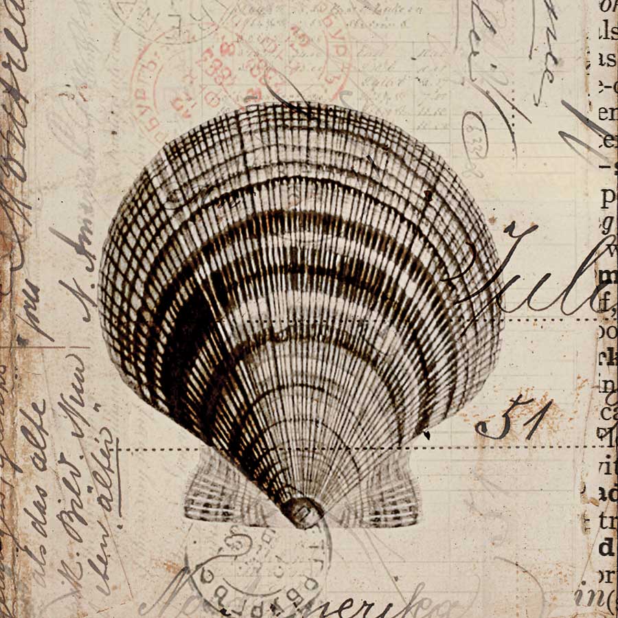 Ocean Collection IV by artist Sabine Berg