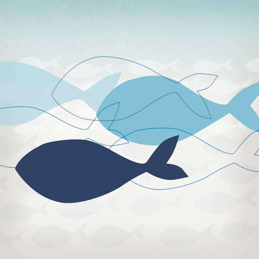 School's Out II by artist Tandi Venter