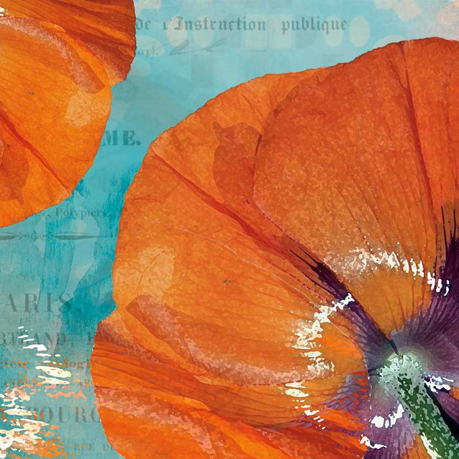 Poppies in the Sky I by artist Sabine Berg