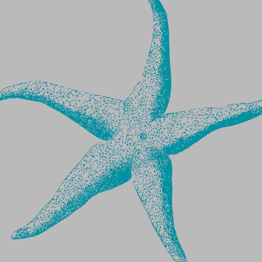 Sea Stars II by artist Sabine Berg