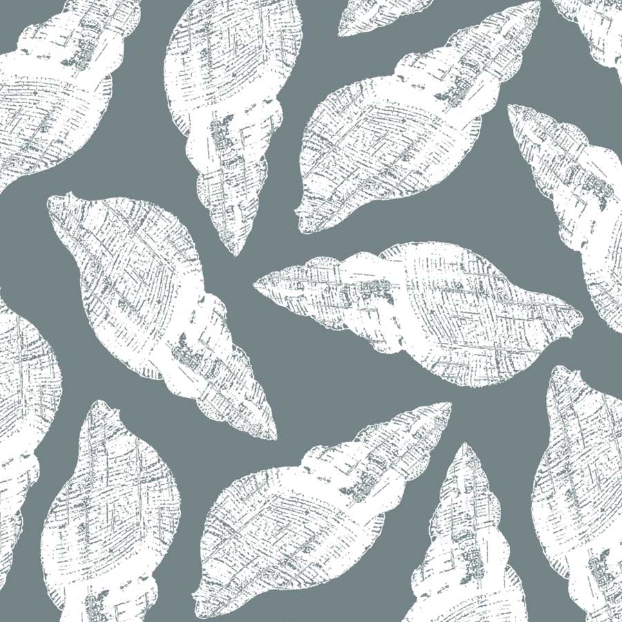 Scattered Shells I by artist  Sabine Berg