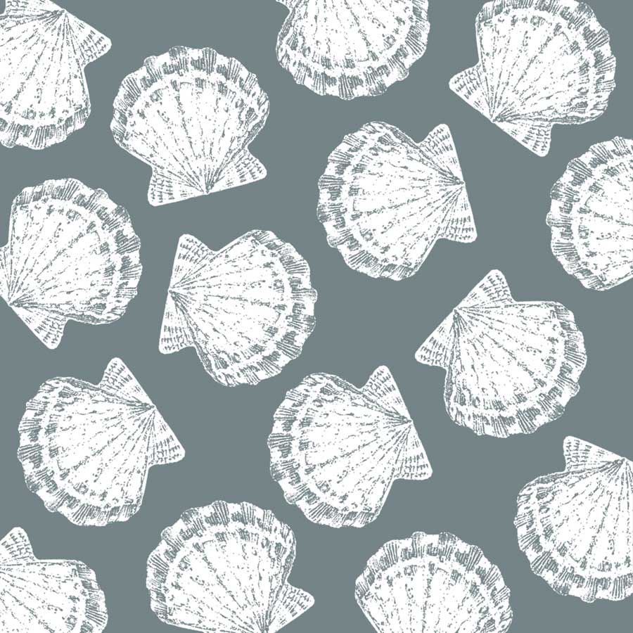 Scattered Shells II by artist  Sabine Berg