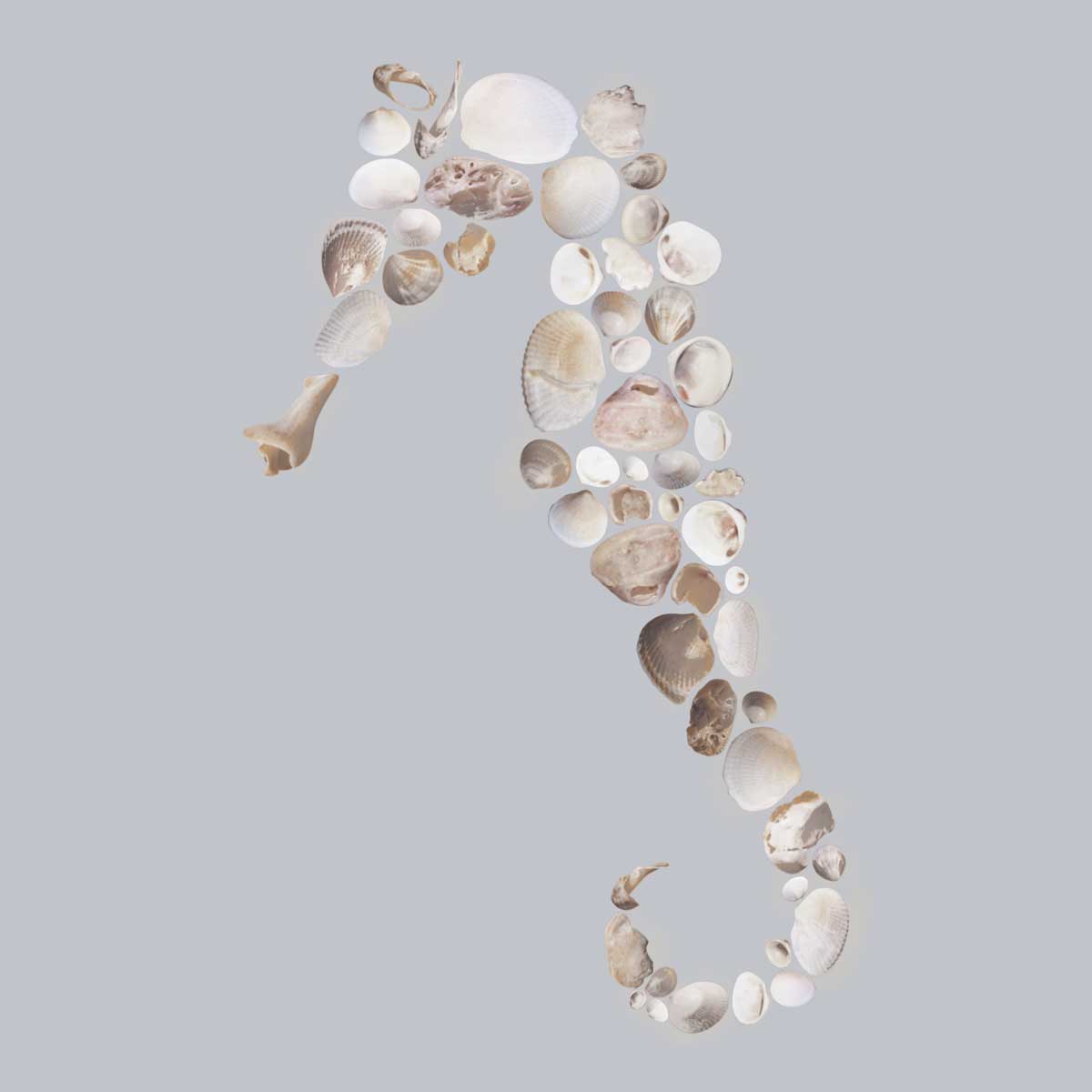 Seahorse by artist  Justin Lloyd