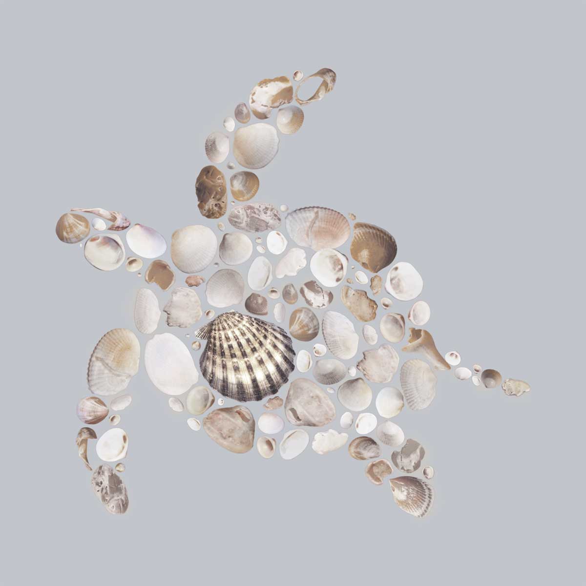 Sea Turtle by artist  Justin Lloyd