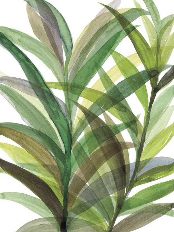 Tropical Greens II by artist  Rebecca Meyers