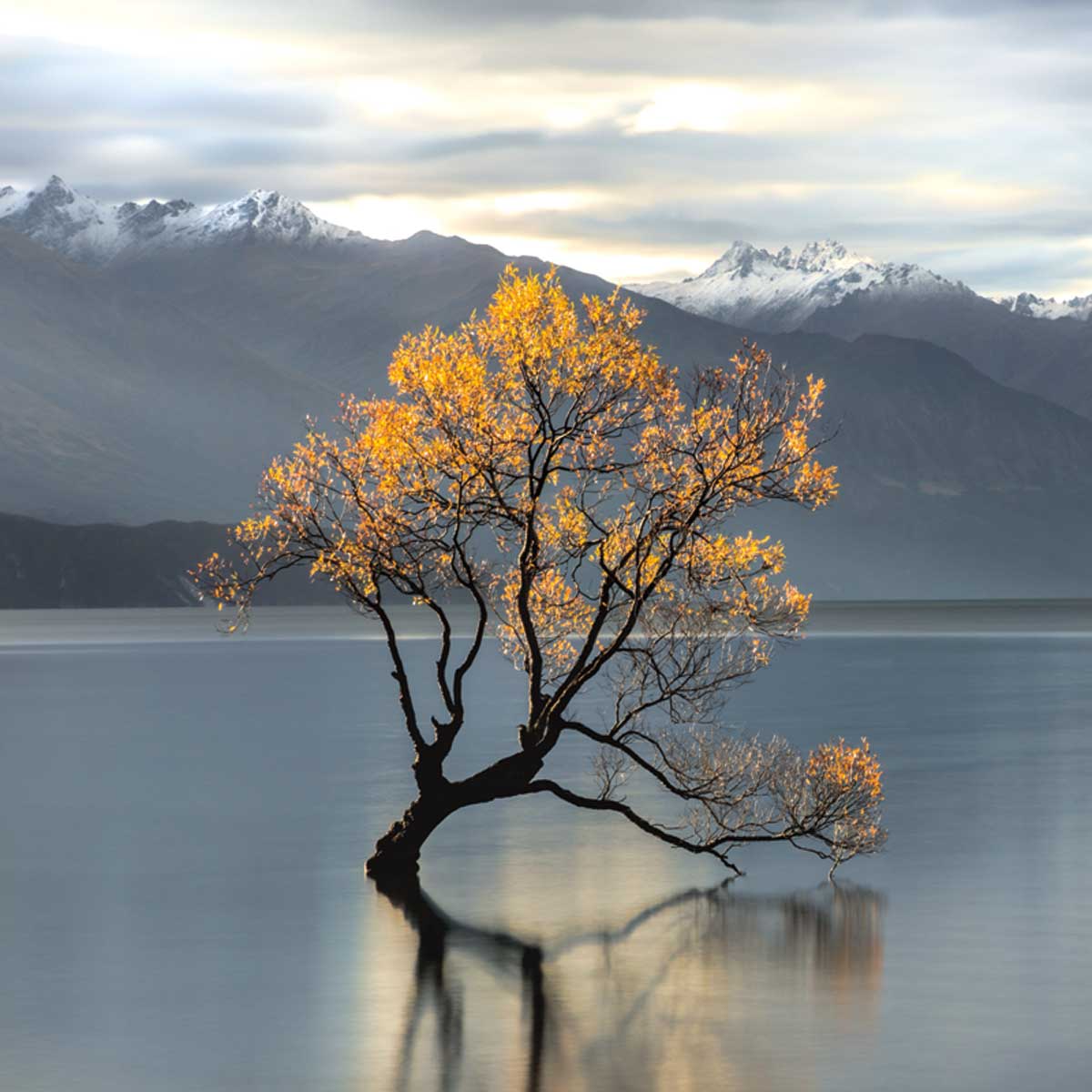 Undisturbed by artist  Michael Cahill