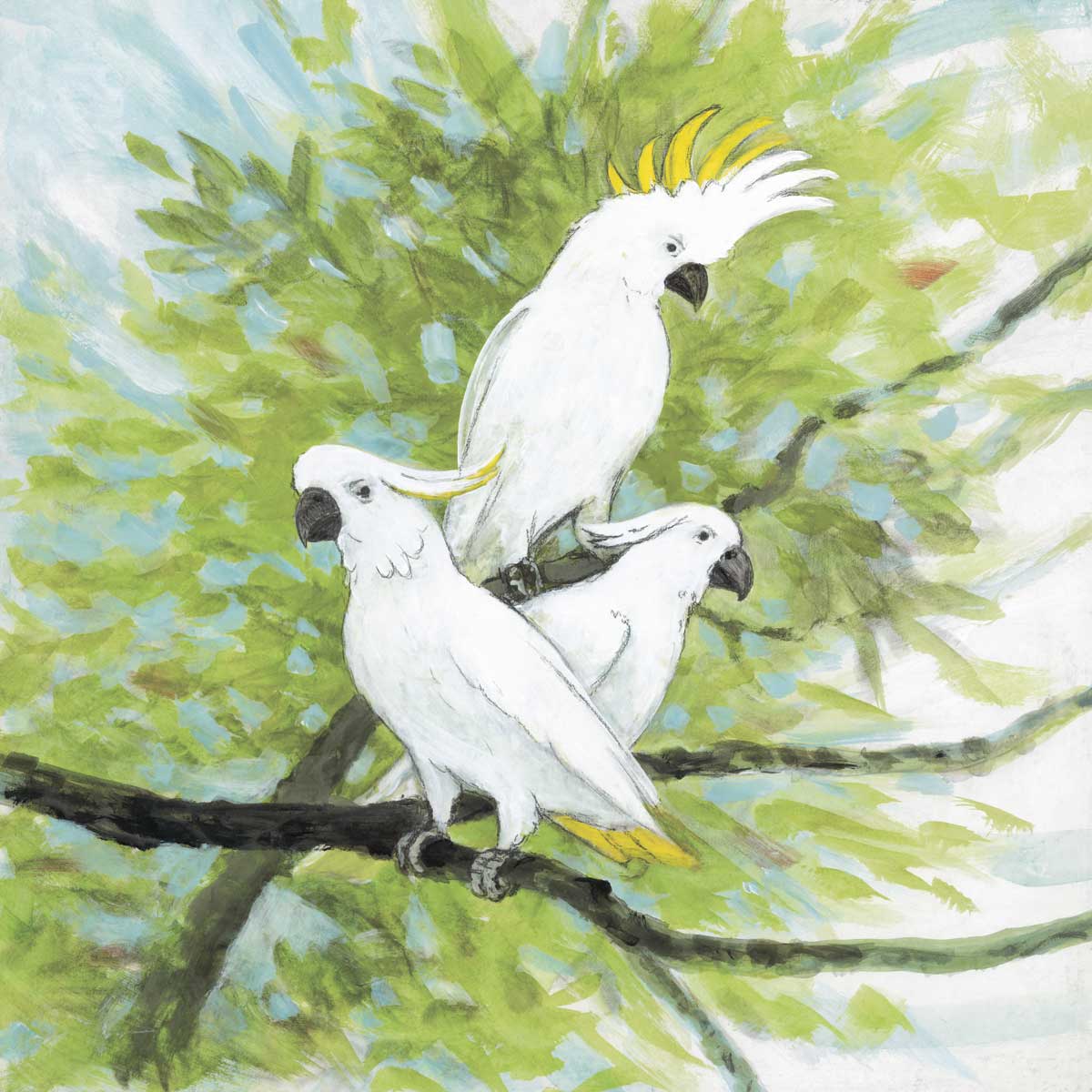 Cockatoos by artist  Arnie Fisk