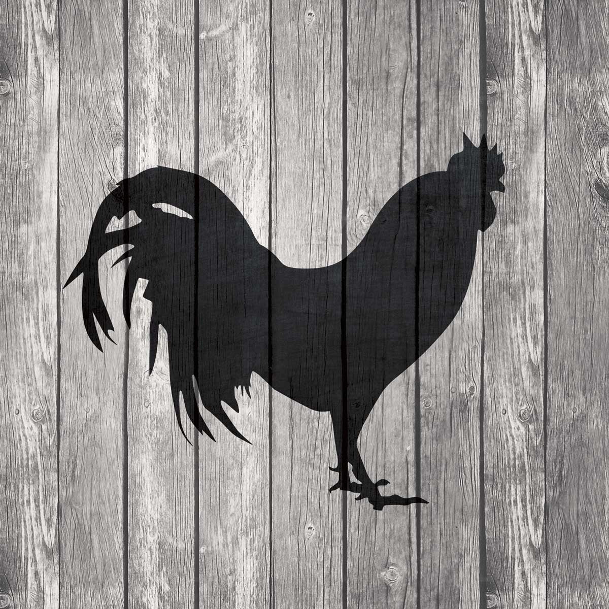 Barn Rooster by artist  Tandi Venter