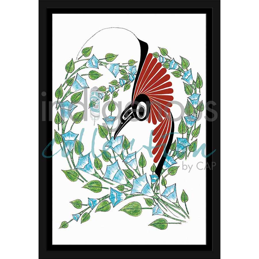 Hummingbird by artist Danny Dennis - Tsimshian . Indigenous Collection