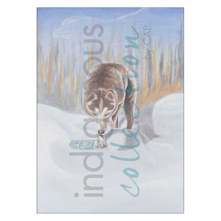 Messenger Canvas Prints