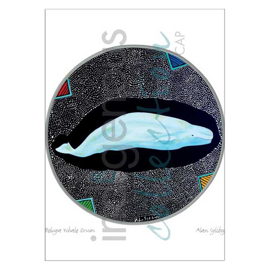 Beluga Whale Drum Canvas Prints