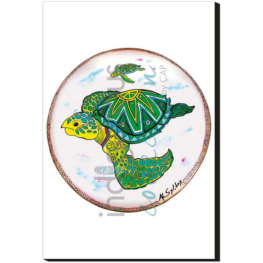 Two Turtles Drum by artist Alan Syliboy - Mi'kmaq. Indigenous Collection