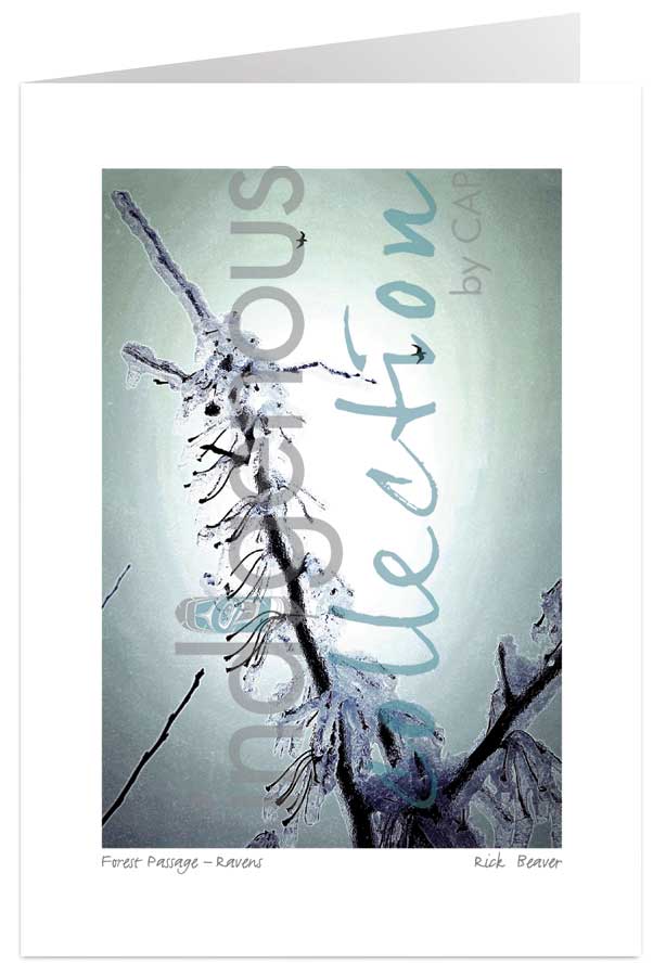 Forest Passage – Ravens  5 x 7 Art Card by artist Rick Beaver. Indigenous Collection