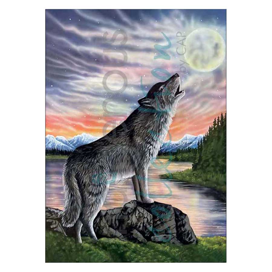Mastering the Howl Canvas Prints