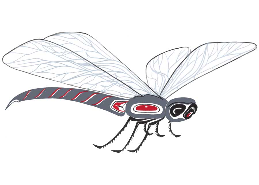 Dragonfly