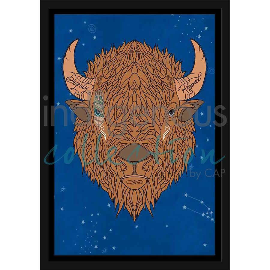 Respectful Paskapski-Mikikonat by artist Robin Paul - Mi'kmaq. Indigenous Collection