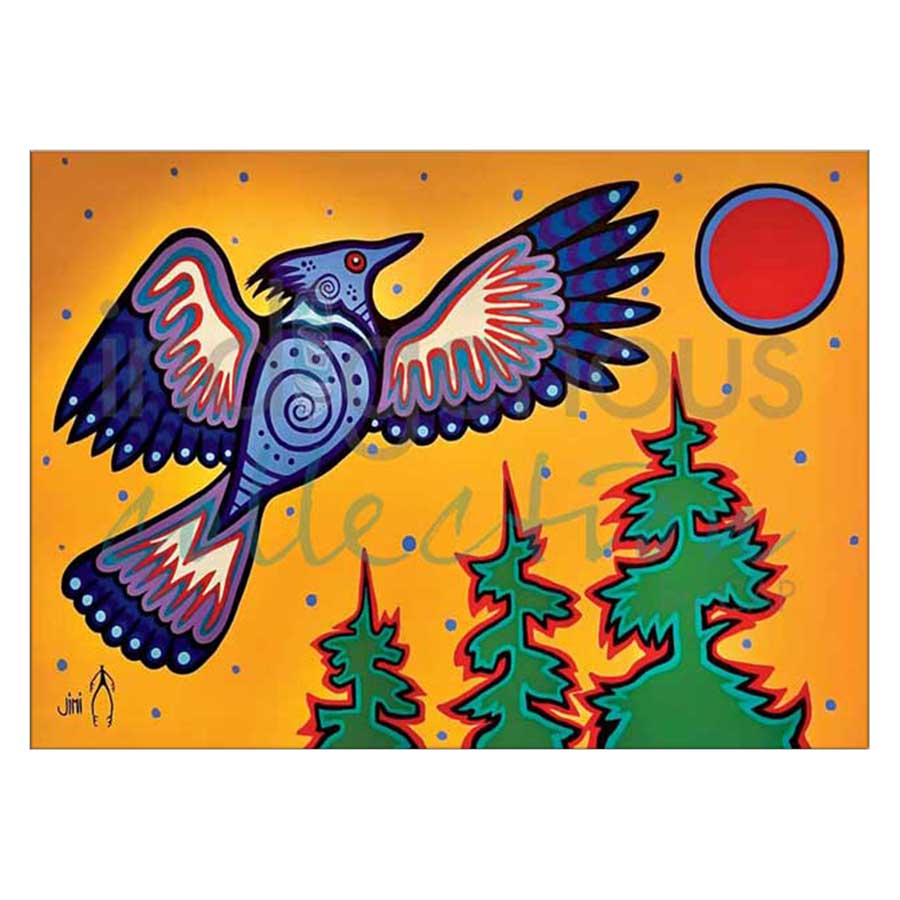 “Diindiisi”- Blue Jay Canvas Prints