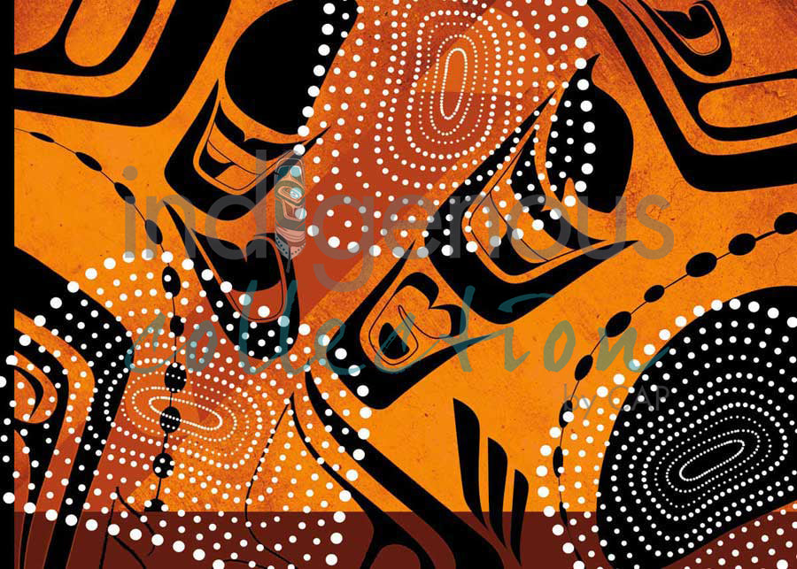 Northern Bronze Gull by artist Heidi Henderson