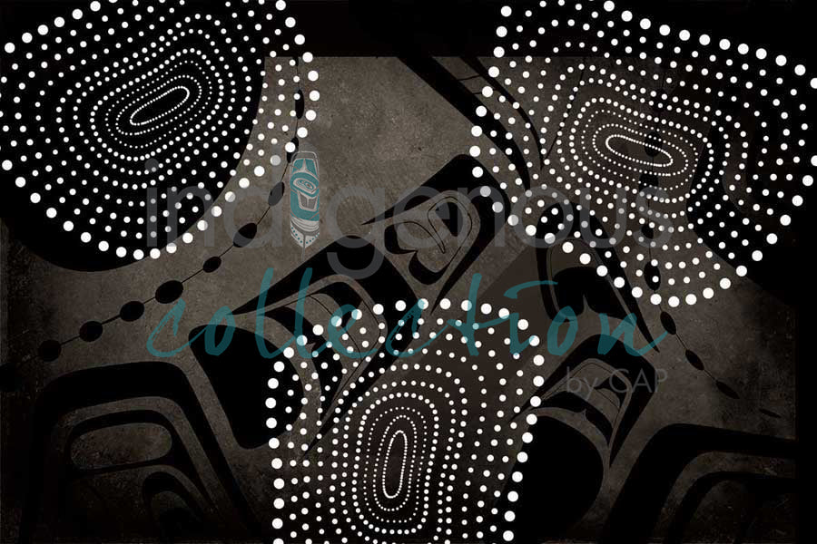 Northern Grey Gull by artist Heidi Henderson