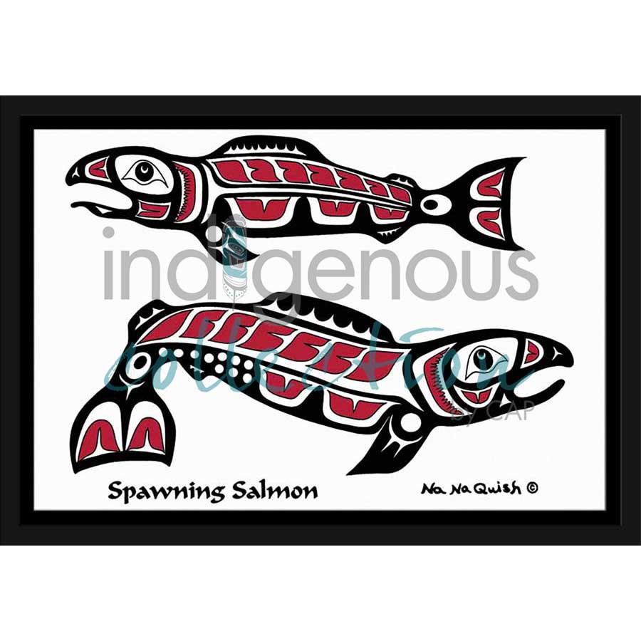 Spawning Salmon by artist Na Na Quish - Nuu-chah-nulth . Indigenous Collection