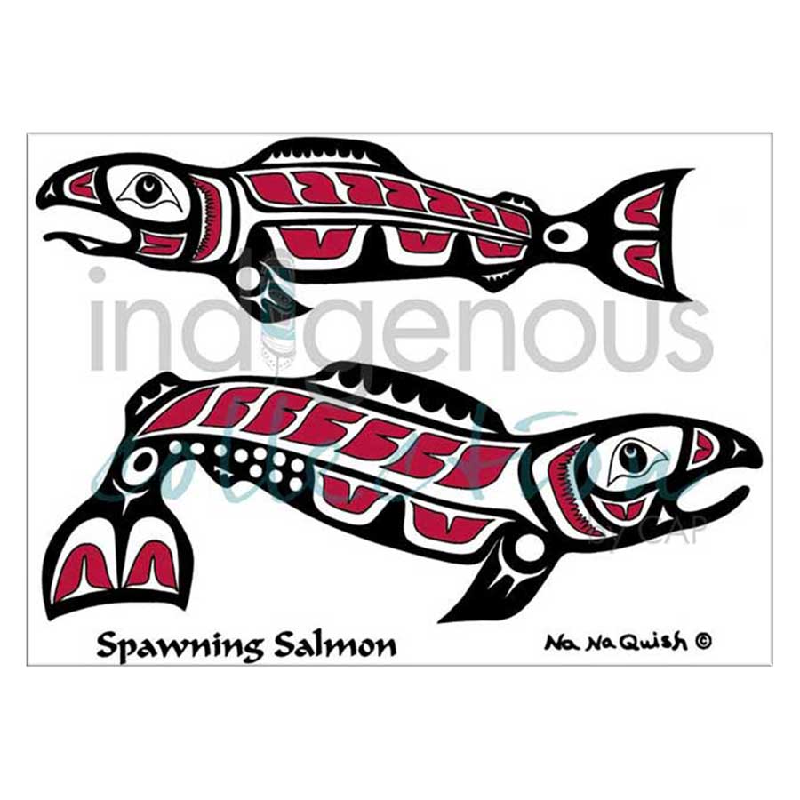 Spawning Salmon Canvas Prints