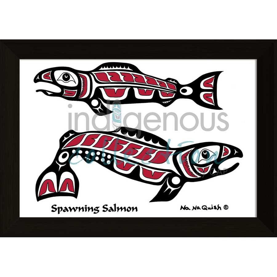 Spawning Salmon by artist Na Na Quish - Nuu-chah-nulth . Indigenous Collection