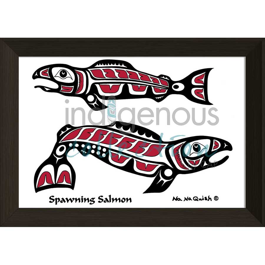 Spawning Salmon by artist Na Na Quish - Nuu-chah-nulth . Indigenous Collection