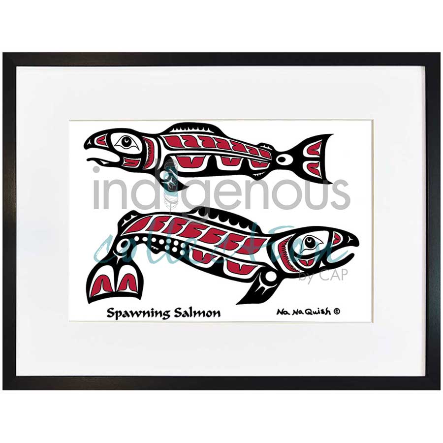 Spawning Salmon by artist Na Na Quish - Nuu-chah-nulth . Indigenous Collection
