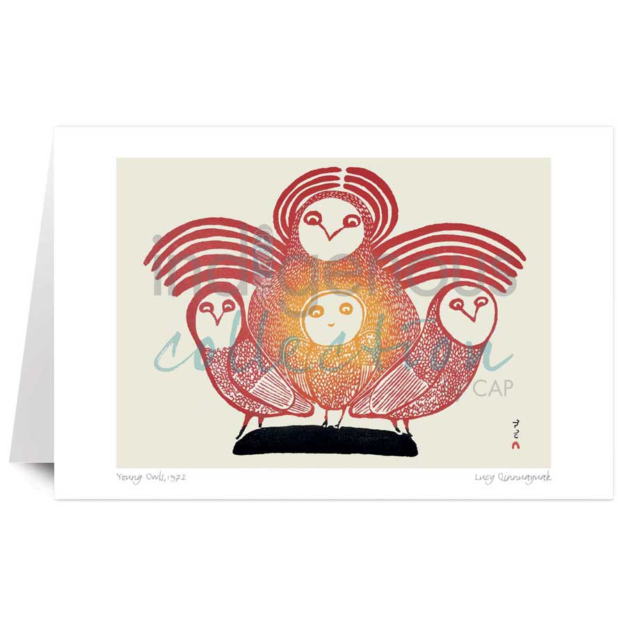 Young Owls by artist Lucy Qinnuayuak