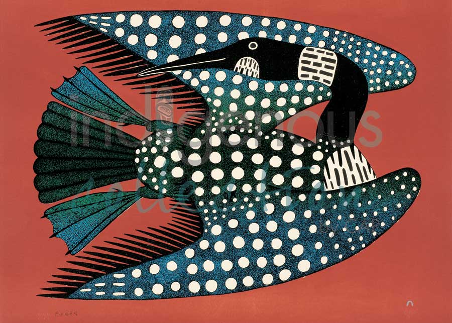 Spotted Loon by artist Kenojuak Ashevak