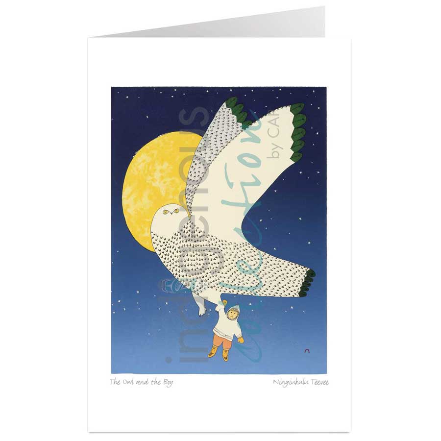 The Owl and the Boy by artist Ningiukulu Teevee