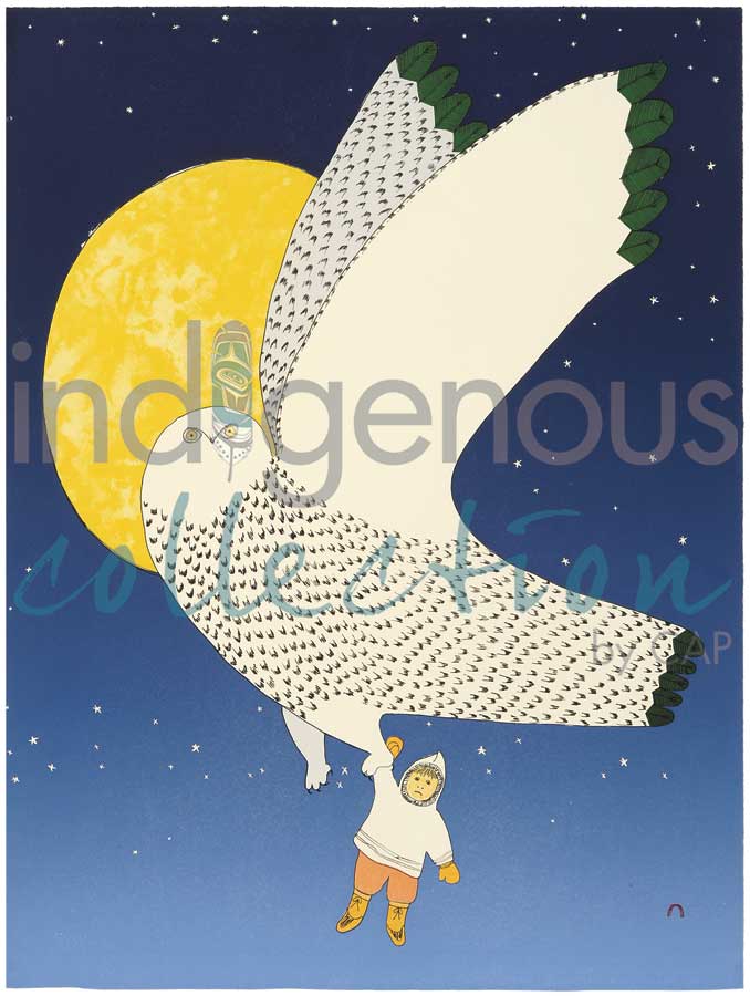 The Owl and the Boy by artist Ningiukulu Teevee