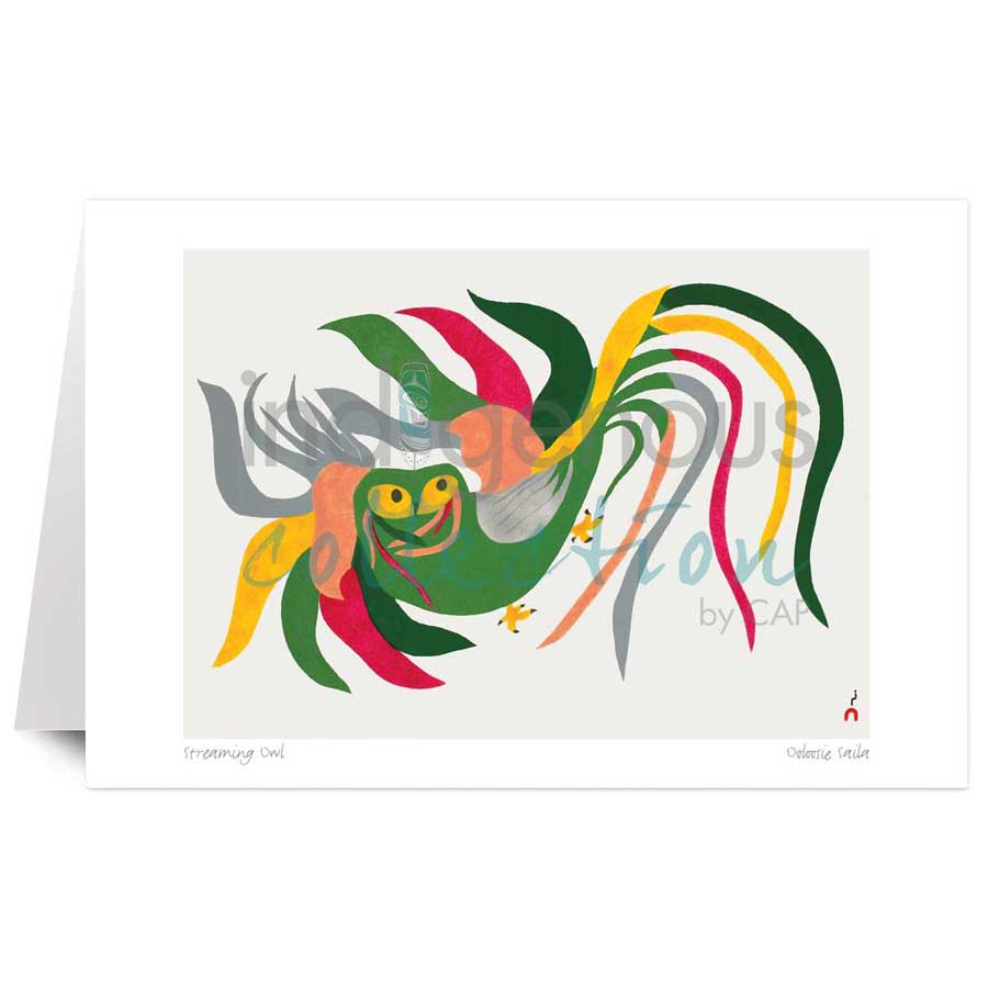 Streaming Owl by artist Ooloosie Saila