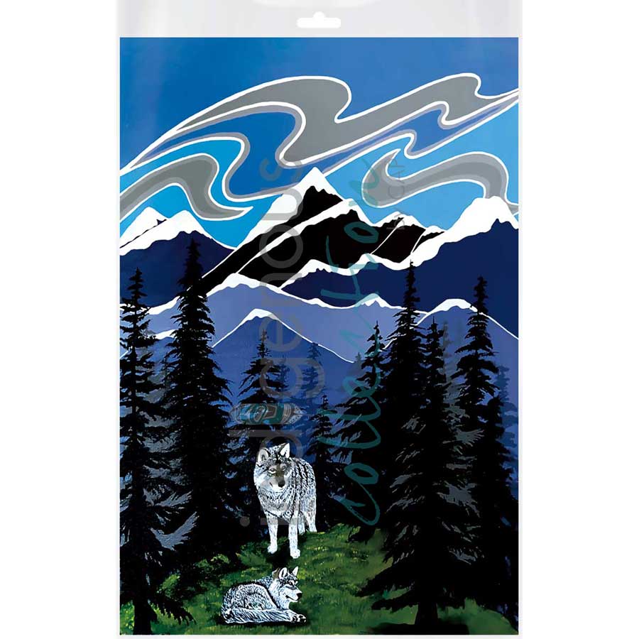 Time for a Rest by artist Shelley Davies - Coast Salish. Indigenous Collection