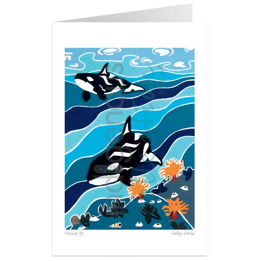 Passing By by artist Shelley Davies