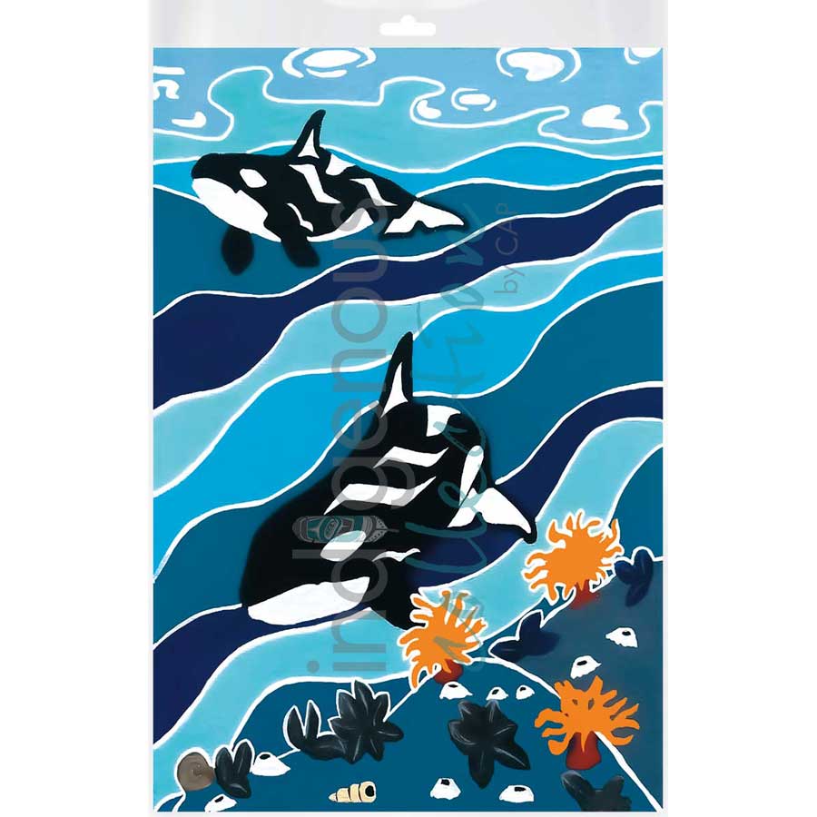 Passing By by artist Shelley Davies - Coast Salish. Indigenous Collection