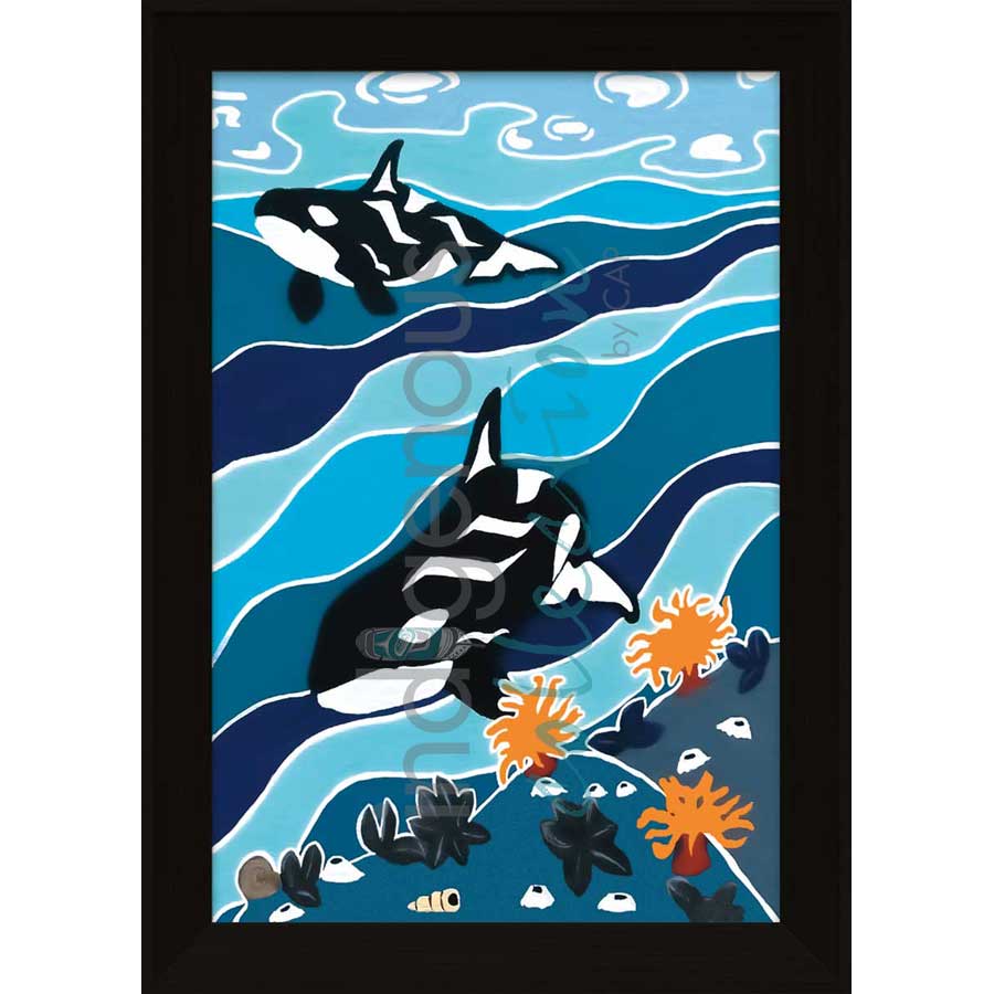 Passing By by artist Shelley Davies - Coast Salish. Indigenous Collection