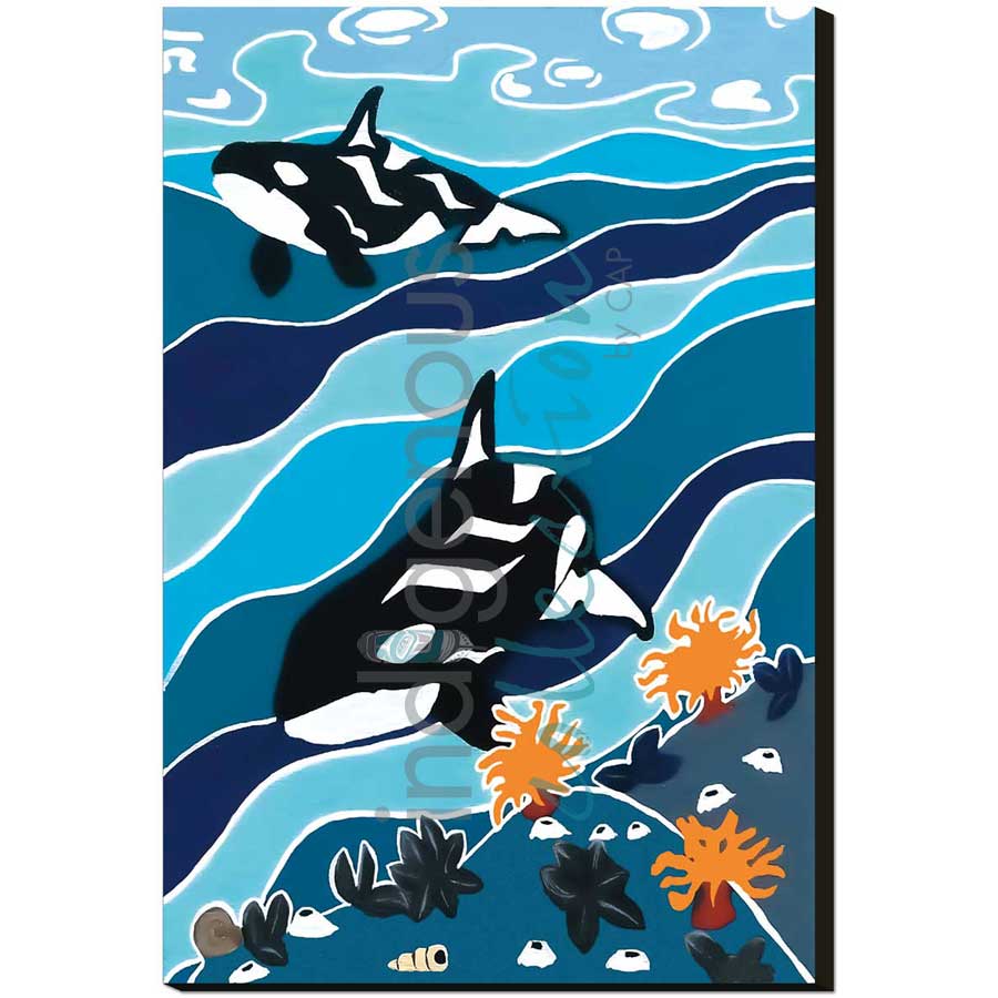 Passing By by artist Shelley Davies - Coast Salish. Indigenous Collection
