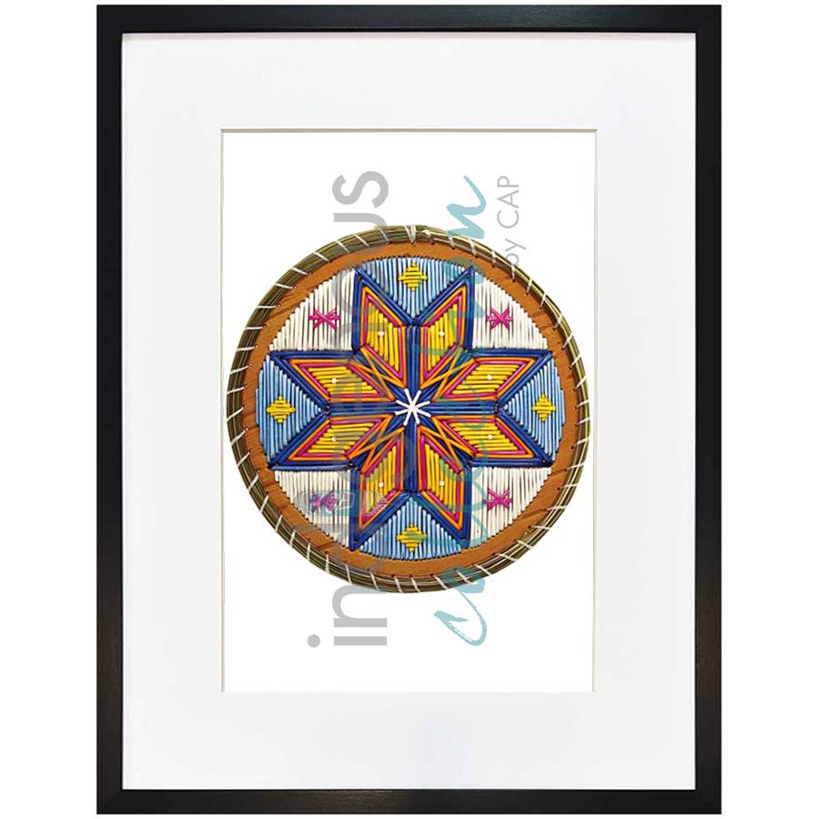 Matues Mama - Porcupine Mama by artist Melissa Peter Paul - Mi'kmaq. Indigenous Collection