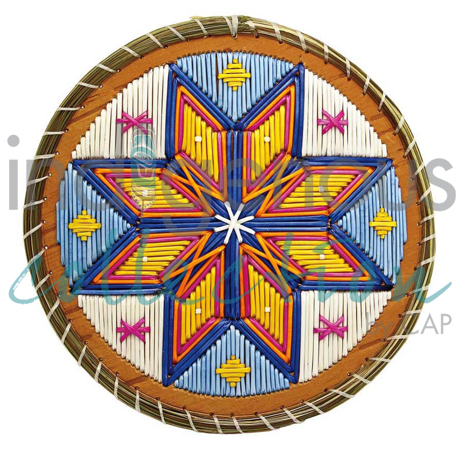 Matues Mama - Porcupine Mama by artist Melissa Peter Paul