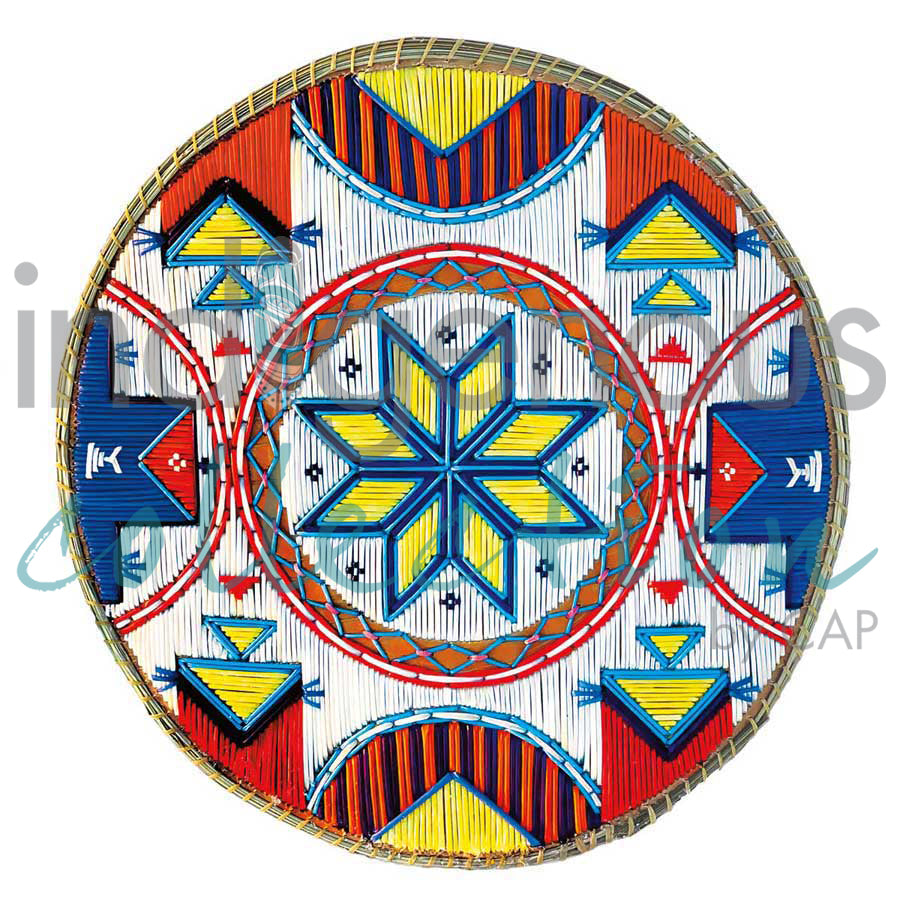 Epekwitk by artist Melissa Peter Paul