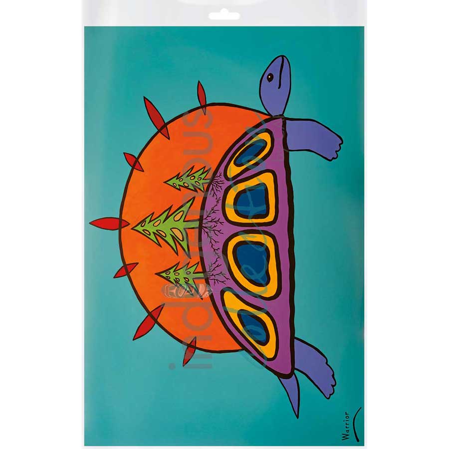 Turtle Island by artist Lorne Julien - Mi'kmaq. Indigenous Collection